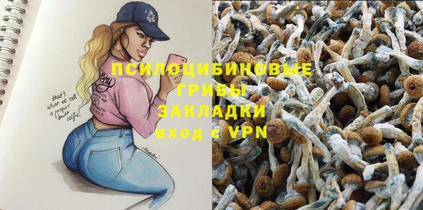 твердый Арсеньев