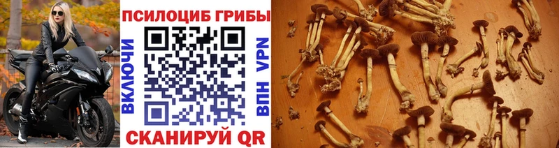 Псилоцибиновые грибы ЛСД  Малгобек 